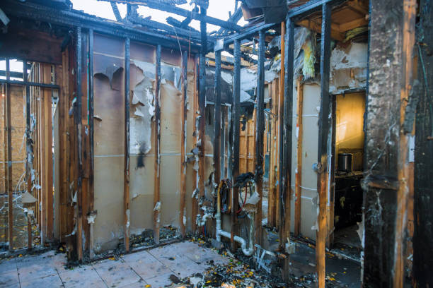 Professional Structural Rebuild technician working in Harwood, MD
